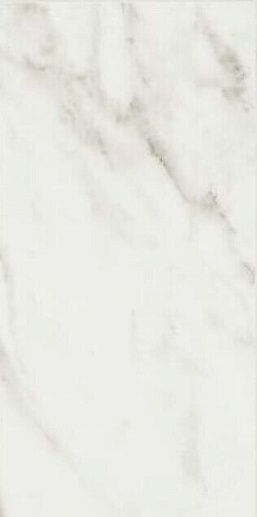 Exalt of Magic White Luc Rett 60x120 - фото 1