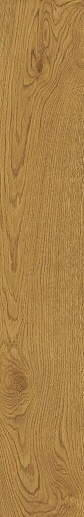 Exence Amber 20x120 - фото 1