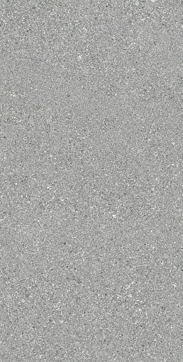 Grain Stone Fine Grain Grey Nat.60x120 - фото 1
