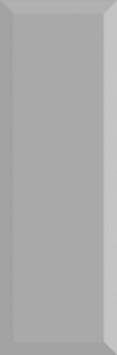 Monocolor Biselado Brillo Plata 10x30 - фото 1