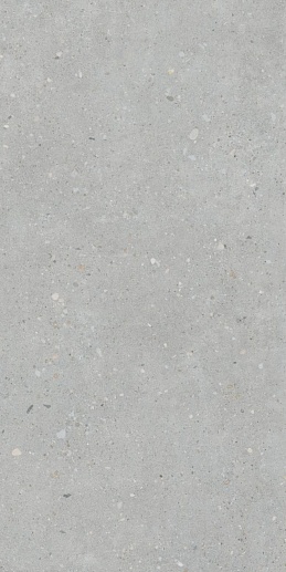 Flakecement Серый Матовый 60x120 - фото 1