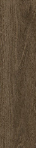 Tregui Dark 8x33 - фото 1