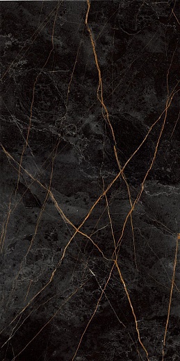 Granite Sandra Черно-оливковый MR 60x120 - фото 1