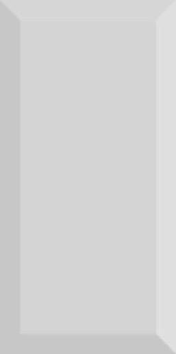 Monocolor Biselado Brillo Gris 10x20 - фото 1