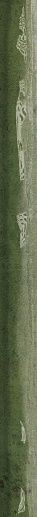 Alchimia Matita Torello Olive 2x30 - фото 1