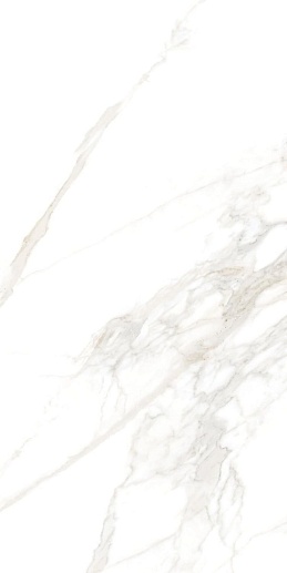 Torano Gold Nt R 60x120 - фото 1