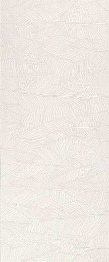 Aplomb White Leaf 50x120 - фото 1