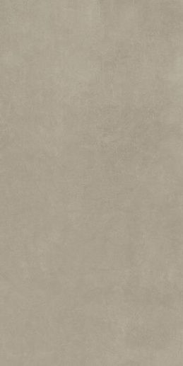 Industrial Taupe 6mm R+PTV Ret 120x240 - фото 1