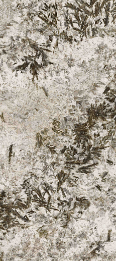 Frozen Fox Polished 120x260 - фото 1