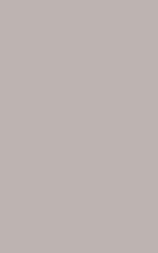 Monica Taupe 25x40 - фото 1