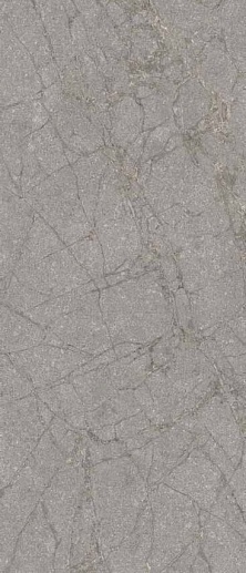 Memories Grey Soapstone Ant Lapp 60x120 - фото 1