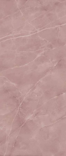 Symphonyx Rose Rett 60x120 Lapp - фото 1