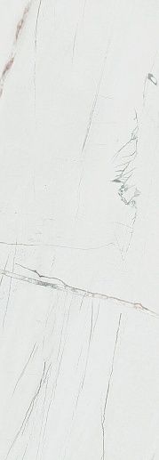 Foresta Crema 24.2x70 - фото 1
