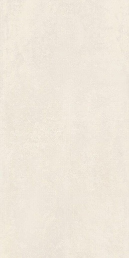 Fancy White Rec 60x120 - фото 1