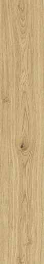 VividWood Дуб Матовый 20x120 - фото 1