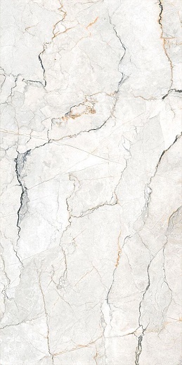 Sauvage Pearl 60x120 - фото 1