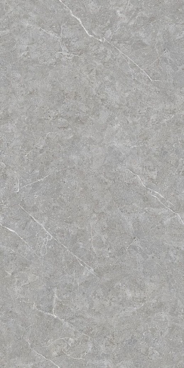 Techno Matt Mica Grigio TM 80x160 - фото 1