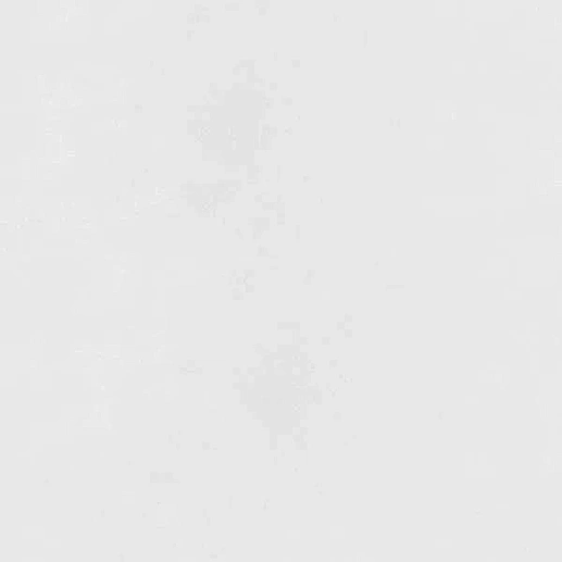 Silica Bianco Sugar 60x60 - фото 1