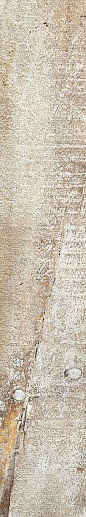Sherwood White 15x90 - фото 1