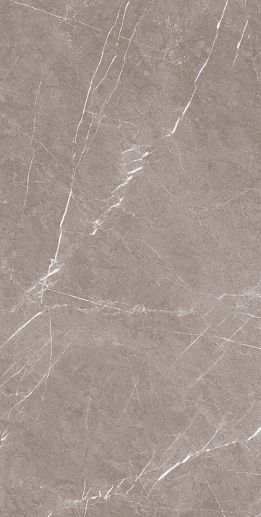 Stone Pietra Taupe CARV 60x120 - фото 1