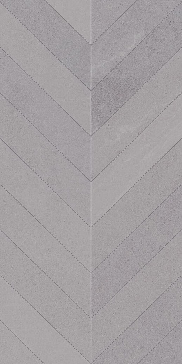 Seine Risle R Gris 60x120 - фото 1