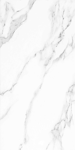 Mono Agave 30x60 - фото 1