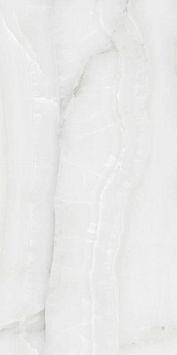 Snow Onyx Silver - 60120SWX00P 60x120 - фото 1