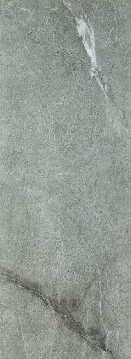 Organic Matt Grey 32.8x89.8 - фото 1