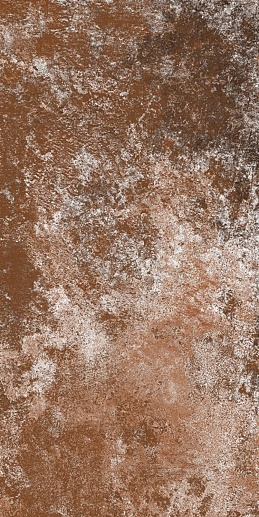 Ariel Bronze 60x120 - фото 1