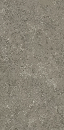 Marvel Meraviglia Grigio Elegante Matt 60x120 - фото 1