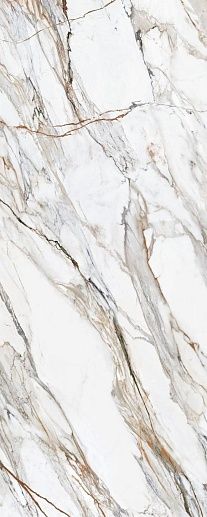 Marbles Calacatta Paonazzo Pol 120x300 - фото 1