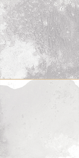 FS Tradition Square Silver 20x40 - фото 1