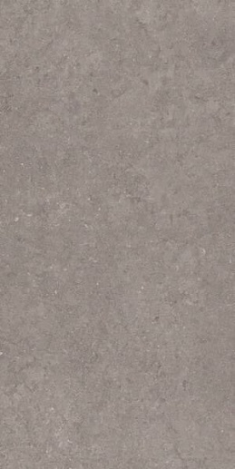 Atmospheres de Rex Ombre Cannete Nat 60x120 - фото 1