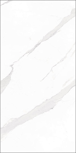 Statuary Blanco 60x120 - фото 1