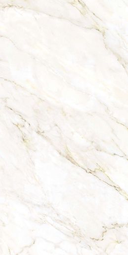 Gioia Silver/60x120/EP - фото 1