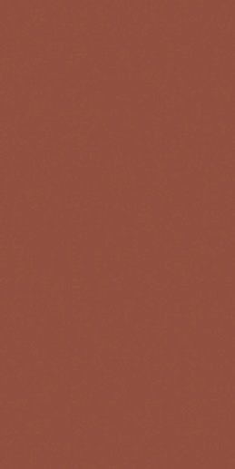 Croma Terracotta 49.1x98.2 - фото 1