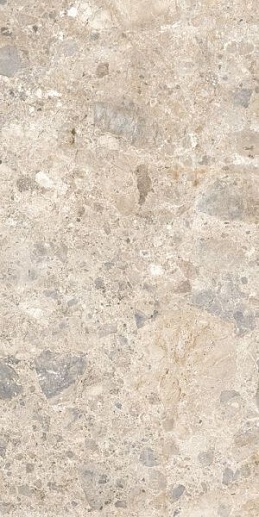 Eterna Mix Multicolor rett. 60x120 - фото 1