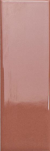 Bits Chestnut Gloss 3.7x11.6 - фото 1