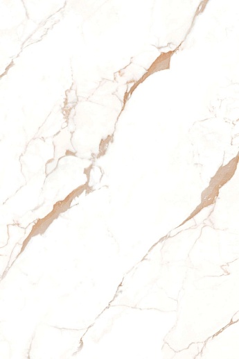 1XL Golden Statuario POLI 120x180 - фото 1