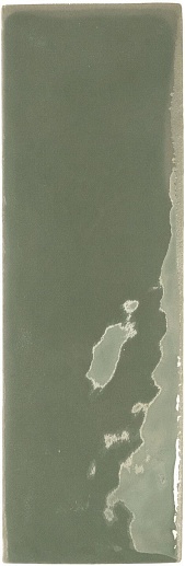 Rebels Moss Gloss 5x15 - фото 1
