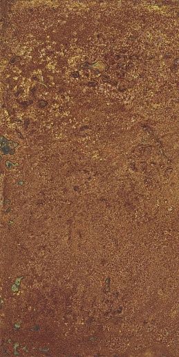 Corten Oxidum nat. 49.75x99.5 - фото 1