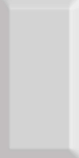Monocolor Biselado Brillo Gris 7.5x15 - фото 1