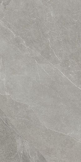 Shale Greige SQ 60x120 - фото 1