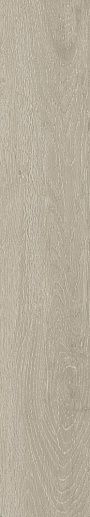 Forest Argent Matt 20x120 - фото 1