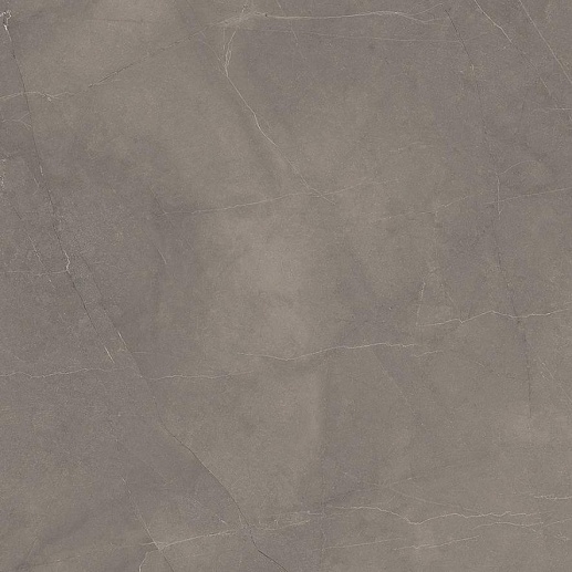 Splash Grey Cерый Сатинированный Карвинг 60x60 - фото 1