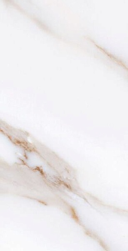 Calacatta Gold 32x62.5 - фото 1
