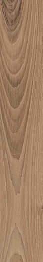 Bio Select Walnut Cinnamon Rtt 20x120 - фото 1