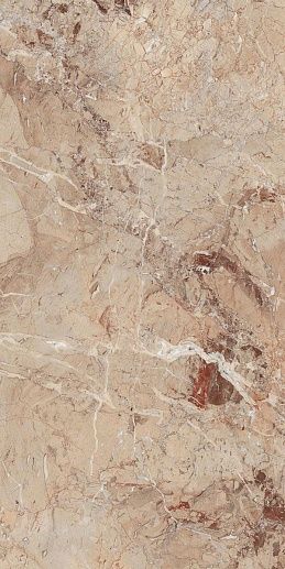 Brecia Antic Brown 60x120 - фото 1