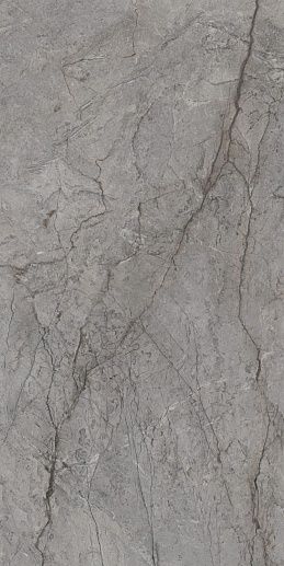 Visioner Grey Pol. 60x120 - фото 1