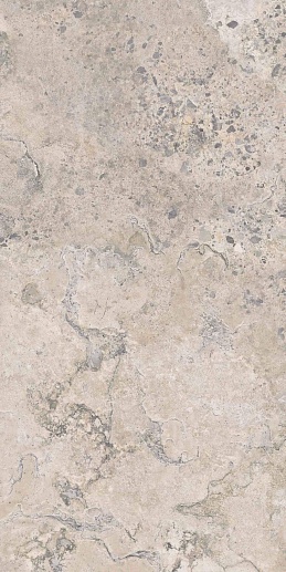 Pietra Viva Ivory Ant. Rett. 60x120 - фото 1